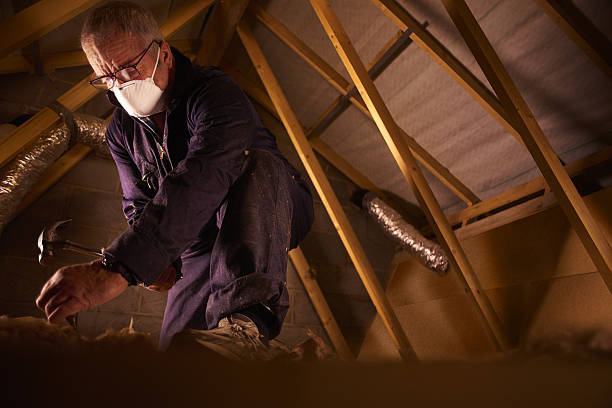 Best Cellulose Insulation in Sixteen Mile Stand, OH